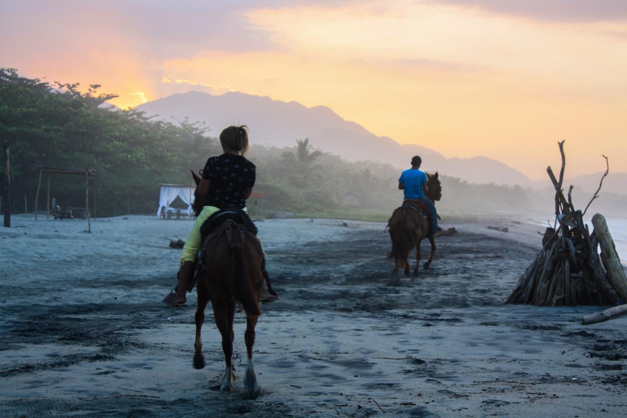 Tay Beach Hotel Tayrona بوريتاكا المظهر الخارجي الصورة