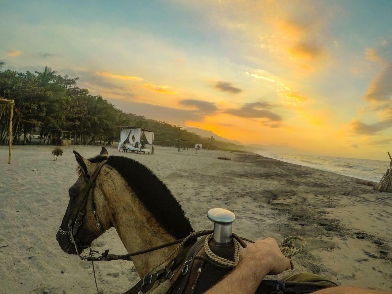 Tay Beach Hotel Tayrona بوريتاكا المظهر الخارجي الصورة